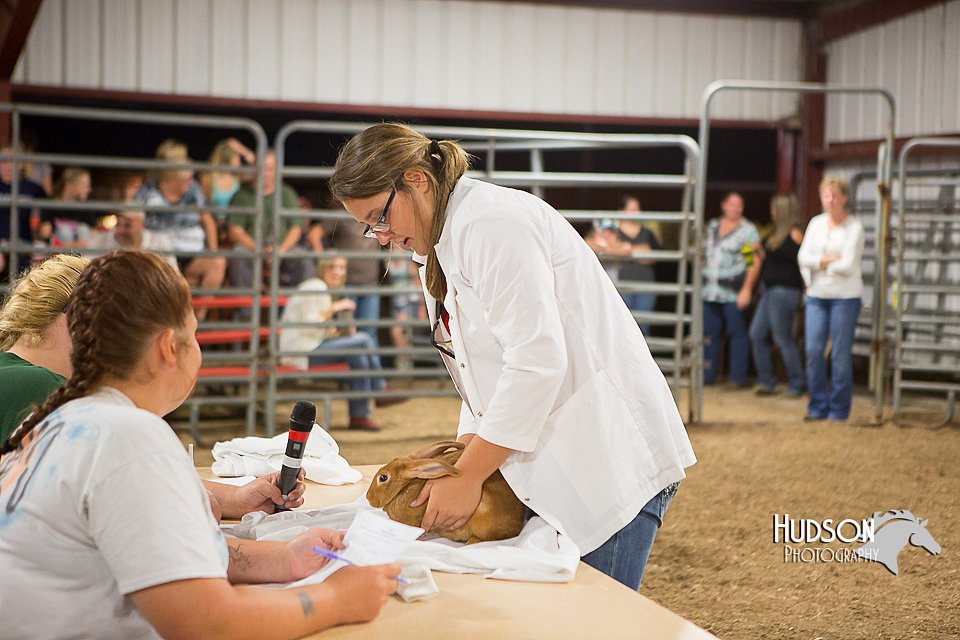 LCFAIR15-4870.jpg