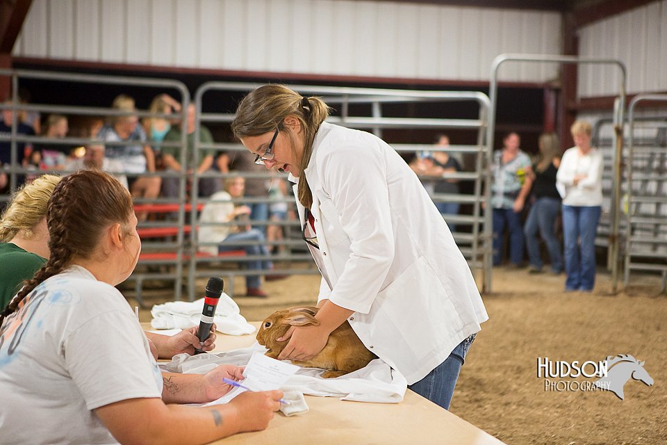 LCFAIR15-4871.jpg
