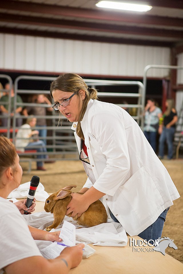 LCFAIR15-4872.jpg