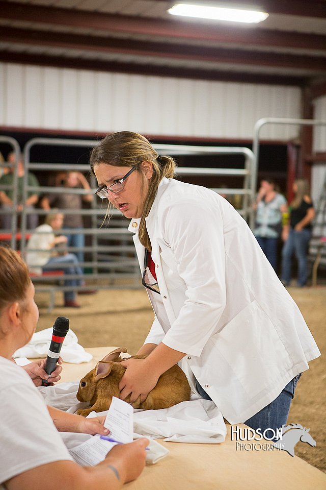 LCFAIR15-4873.jpg