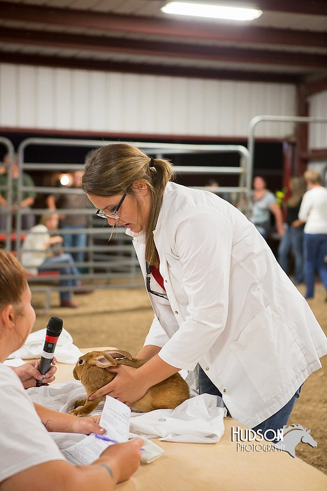 LCFAIR15-4874.jpg