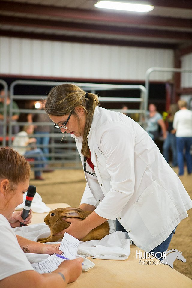 LCFAIR15-4876.jpg