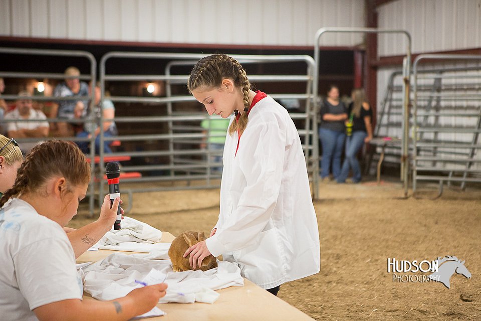 LCFAIR15-4878.jpg