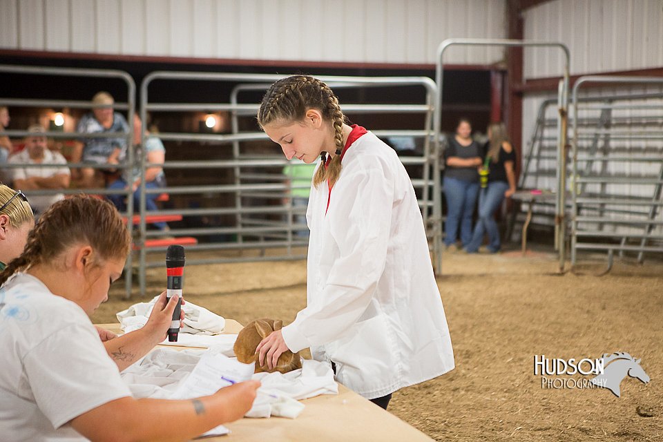 LCFAIR15-4879.jpg