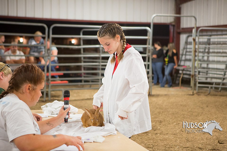 LCFAIR15-4882.jpg