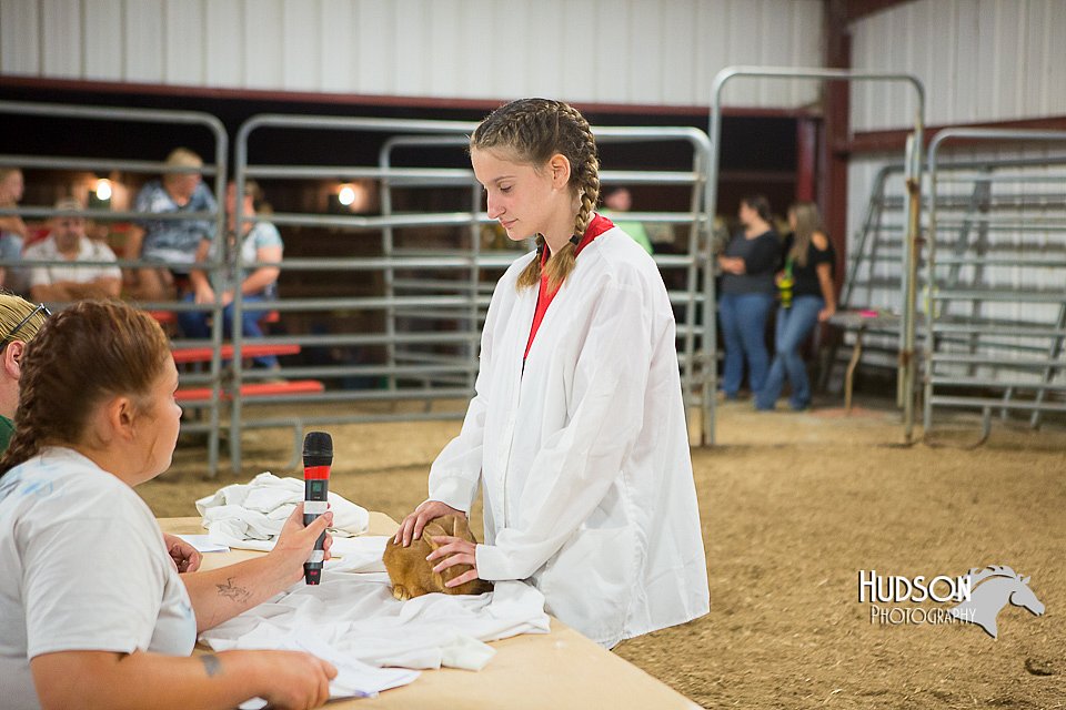 LCFAIR15-4883.jpg