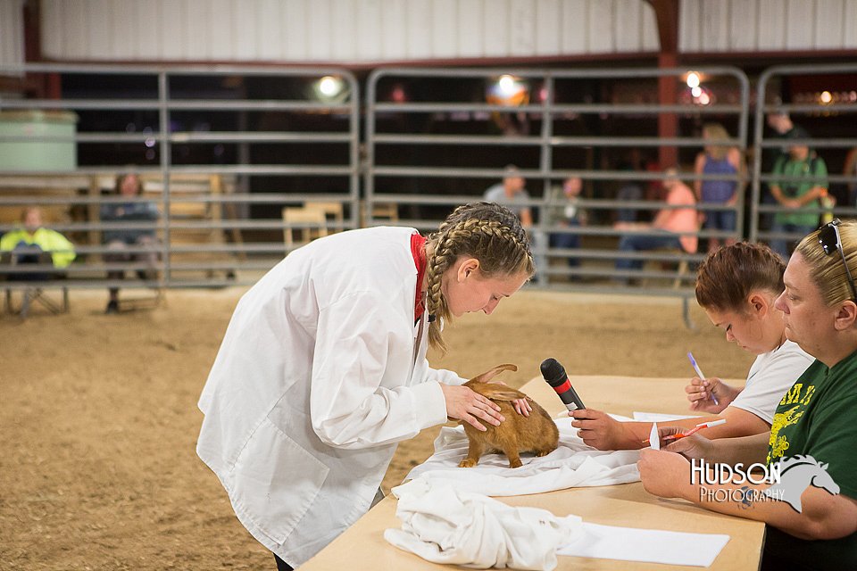 LCFAIR15-4889.jpg