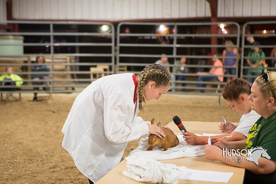 LCFAIR15-4890.jpg