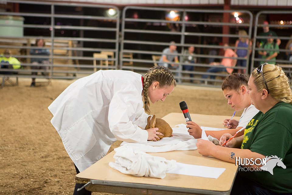 LCFAIR15-4891.jpg