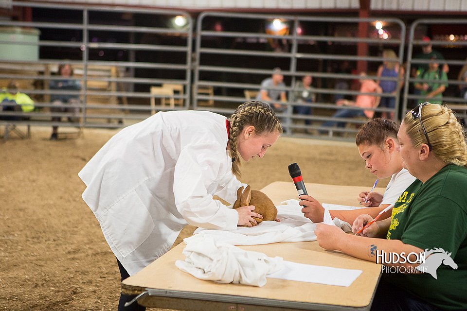 LCFAIR15-4892.jpg