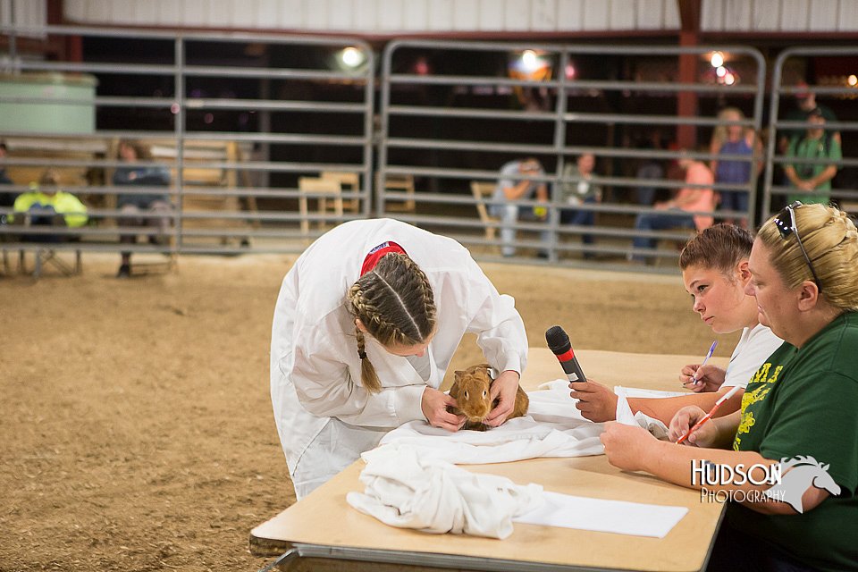 LCFAIR15-4893.jpg