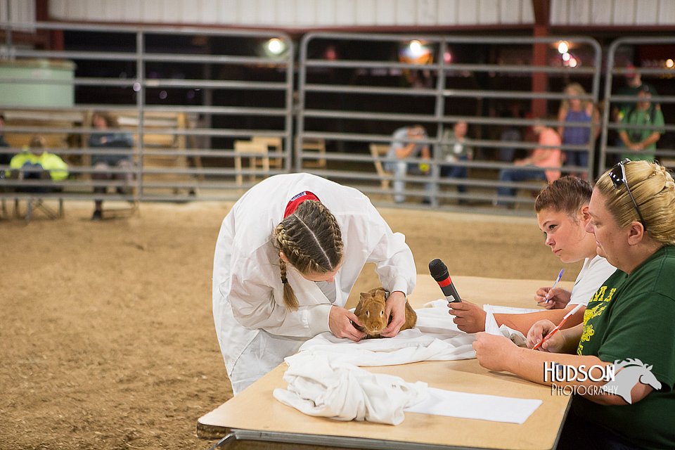 LCFAIR15-4894.jpg