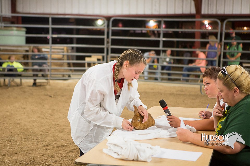 LCFAIR15-4895.jpg