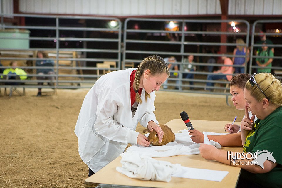 LCFAIR15-4896.jpg
