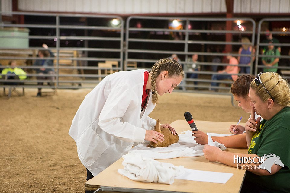 LCFAIR15-4897.jpg