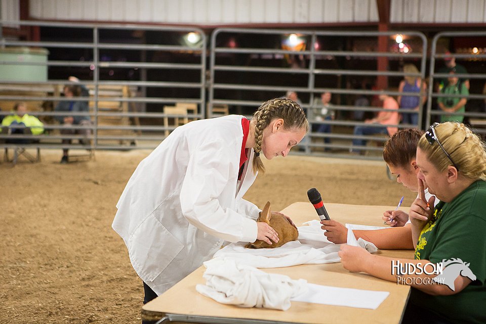 LCFAIR15-4898.jpg