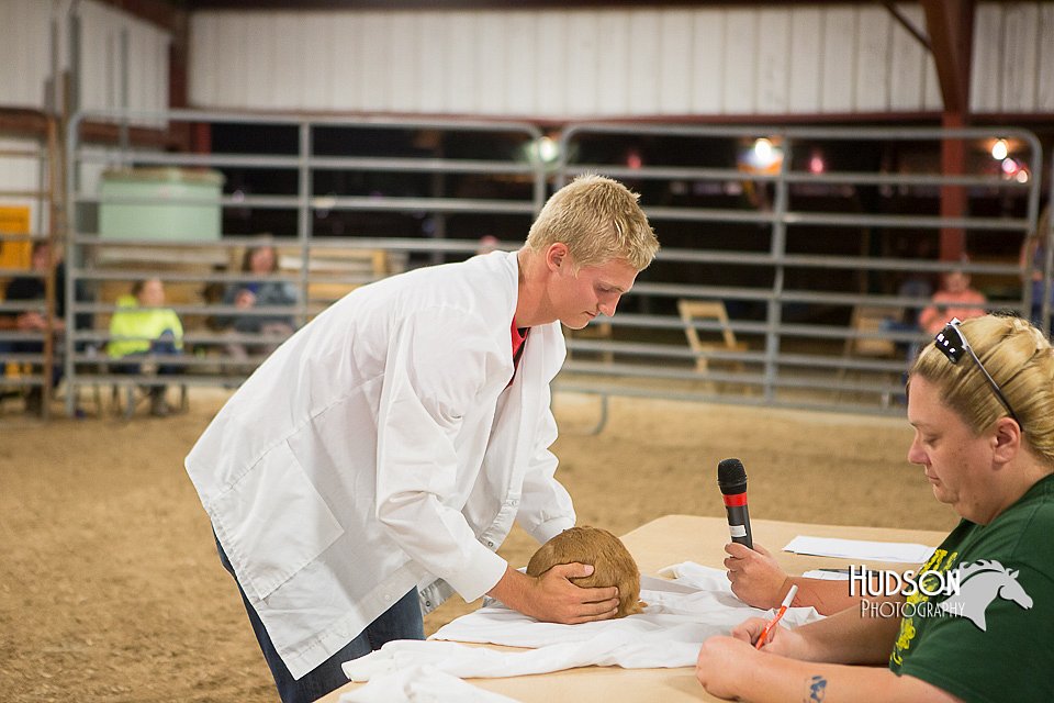 LCFAIR15-4900.jpg