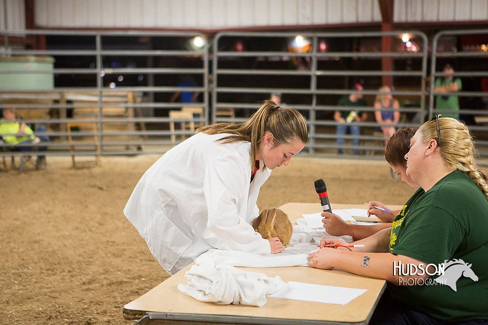 LCFAIR15-4910.jpg