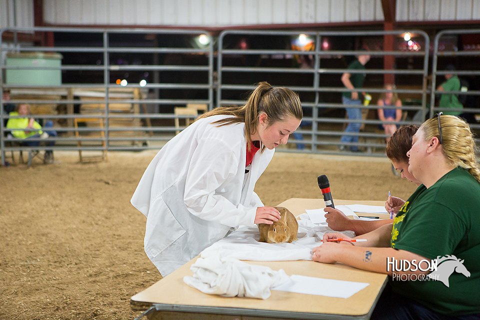 LCFAIR15-4911.jpg