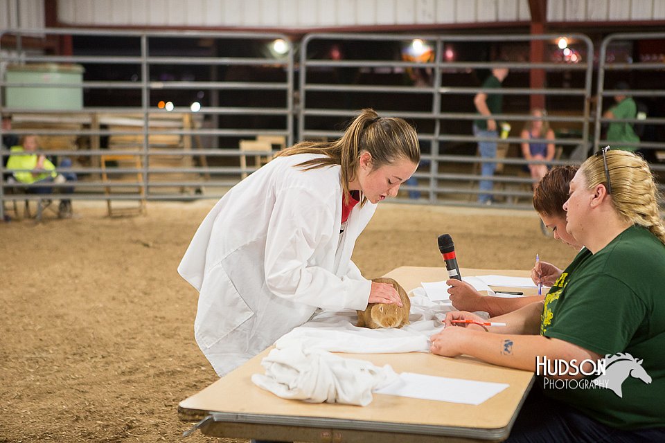 LCFAIR15-4912.jpg