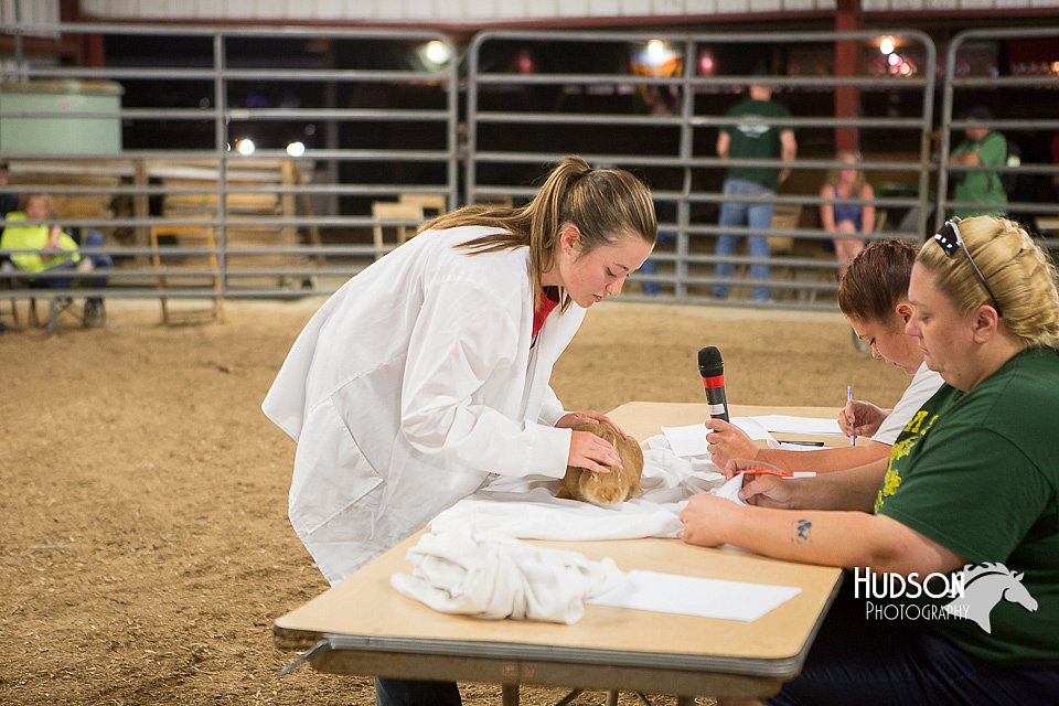 LCFAIR15-4913.jpg