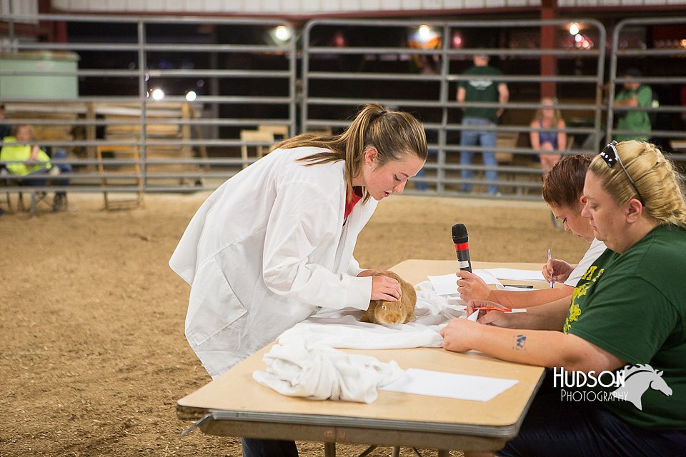 LCFAIR15-4914.jpg