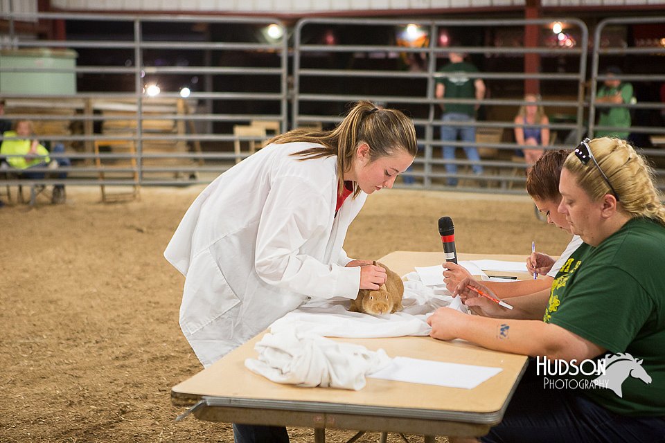 LCFAIR15-4915.jpg