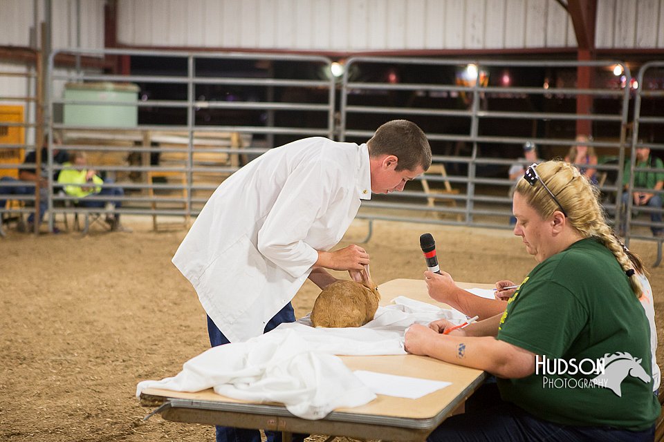 LCFAIR15-4920.jpg