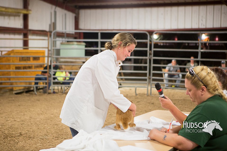 LCFAIR15-4921.jpg