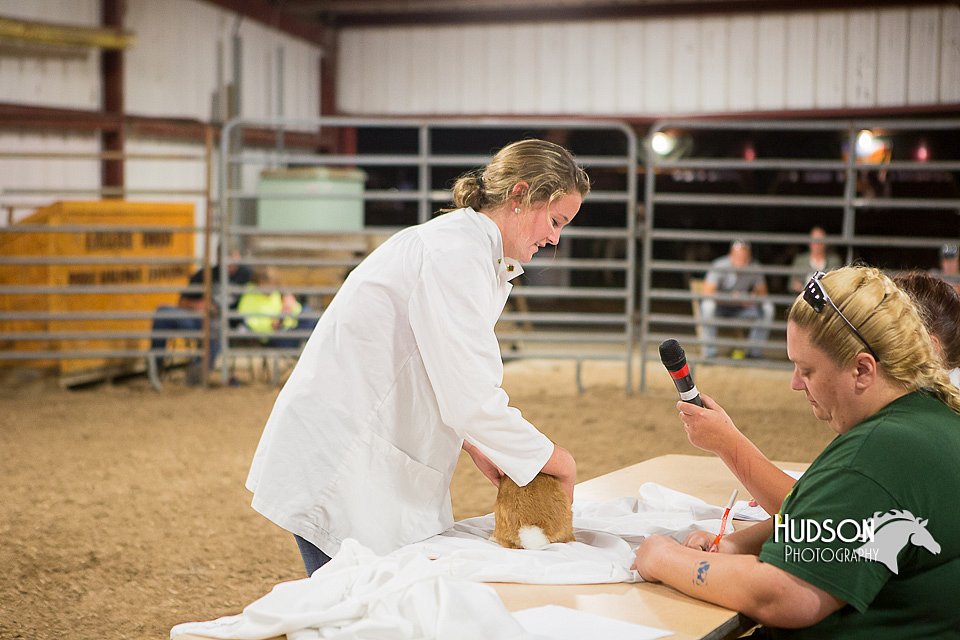 LCFAIR15-4922.jpg