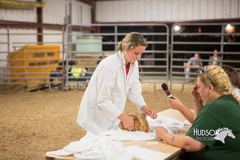 LCFAIR15-4923.jpg