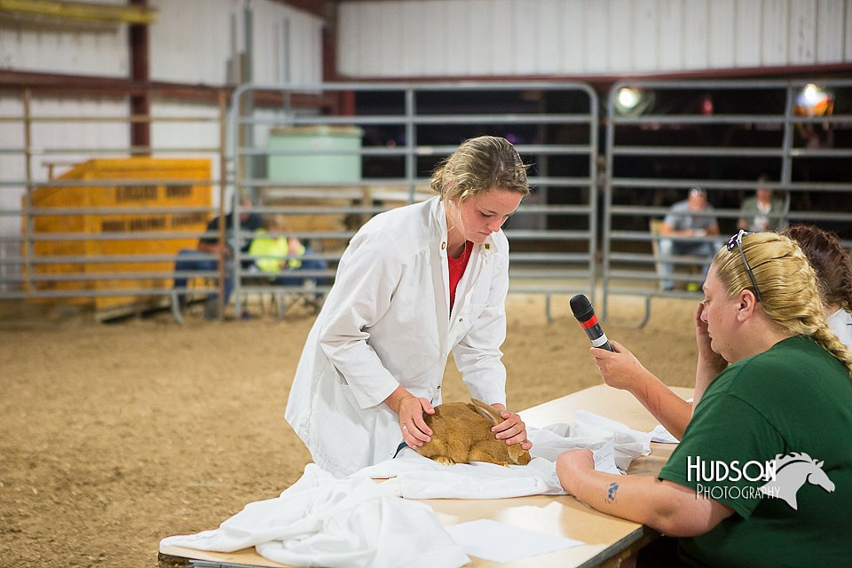 LCFAIR15-4928.jpg