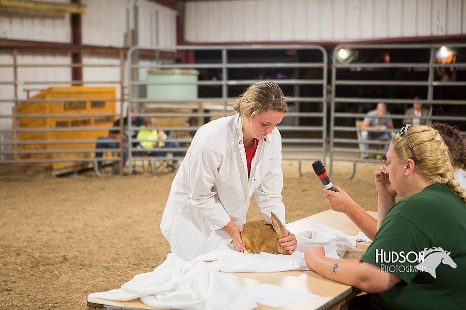 LCFAIR15-4929.jpg