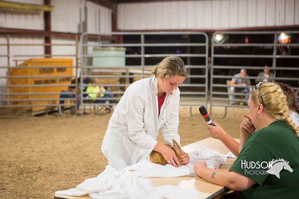 LCFAIR15-4930.jpg