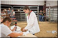 LCFAIR15-4880.jpg