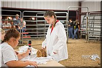 LCFAIR15-4882.jpg
