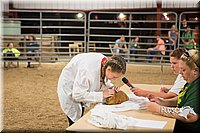 LCFAIR15-4888.jpg