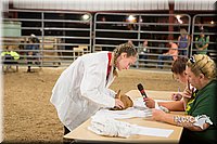 LCFAIR15-4898.jpg