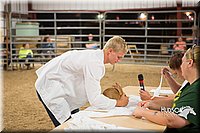 LCFAIR15-4901.jpg