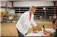 LCFAIR15-4902.jpg