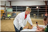 LCFAIR15-4904.jpg