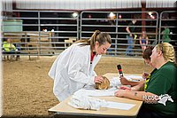 LCFAIR15-4911.jpg