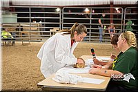 LCFAIR15-4912.jpg