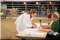 LCFAIR15-4913.jpg