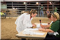 LCFAIR15-4914.jpg