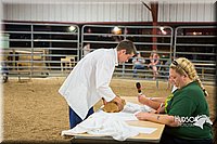 LCFAIR15-4917.jpg