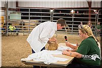 LCFAIR15-4920.jpg