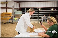 LCFAIR15-4921.jpg