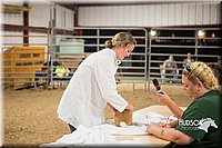 LCFAIR15-4922.jpg