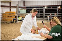 LCFAIR15-4923.jpg